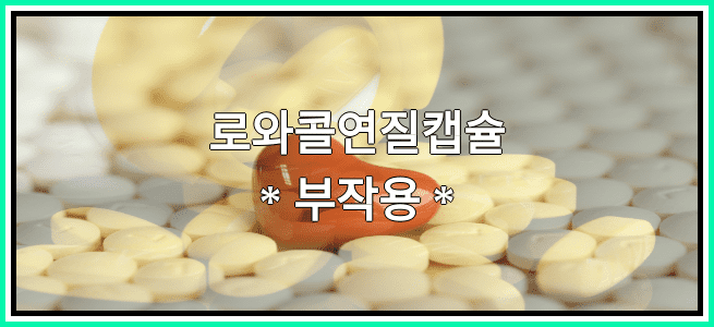 로와콜연질캡슐의 부작용 설명