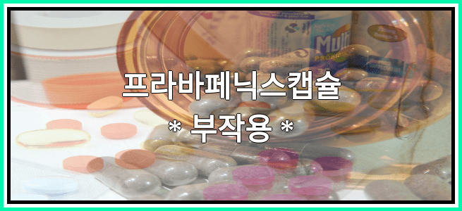 프라바페닉스캡슐의 부작용 설명