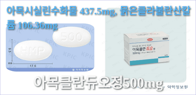 아목클란듀오정500mg의 모양