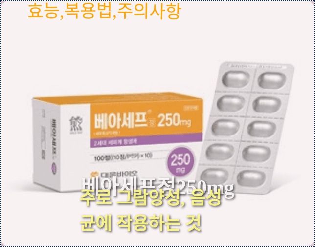 베아세프정250mg의 제품외형