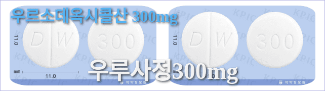 우루사정300mg의 모양