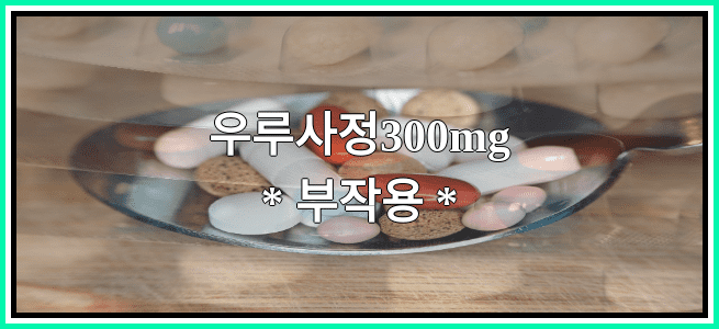 우루사정300mg의 부작용 설명