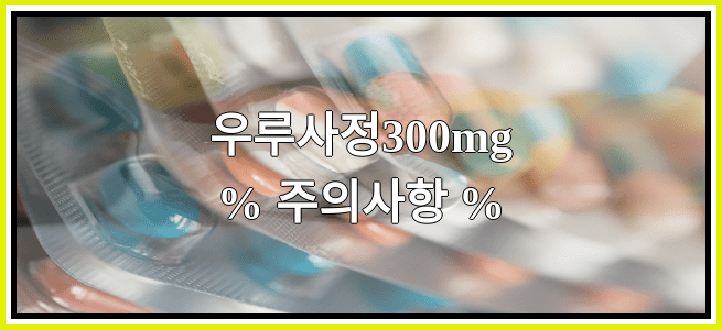 우루사정300mg의 부작용 설명