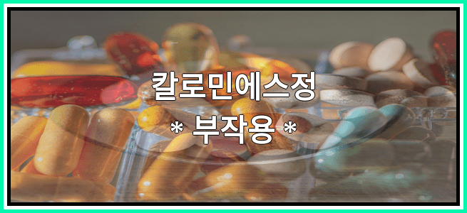 칼로민에스정의 부작용 설명