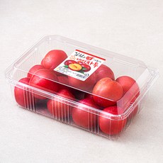 김천앤 내몸에 당도선별 대석 자두 특대, 1kg, 1개 – 추천 BEST 10