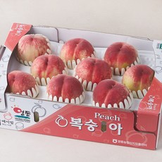 메이빌 GAP 인증 영동 아삭 복숭아 9~12입, 3kg, 1개 – 추천 BEST 10